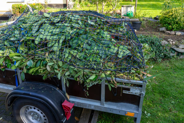 Best Shed Removal  in Romancoke, MD